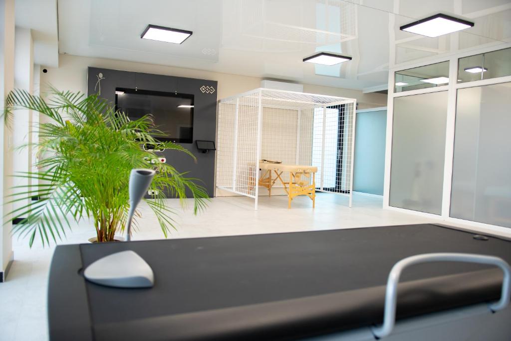 Turnus rehabilitacyjny